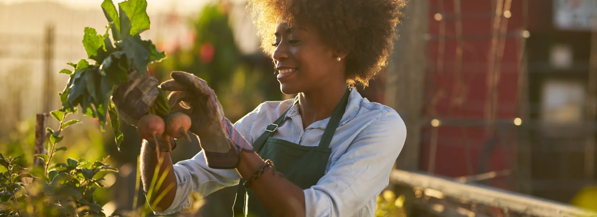 Diplomado en Manejo y Composición de Huertos y Jardines