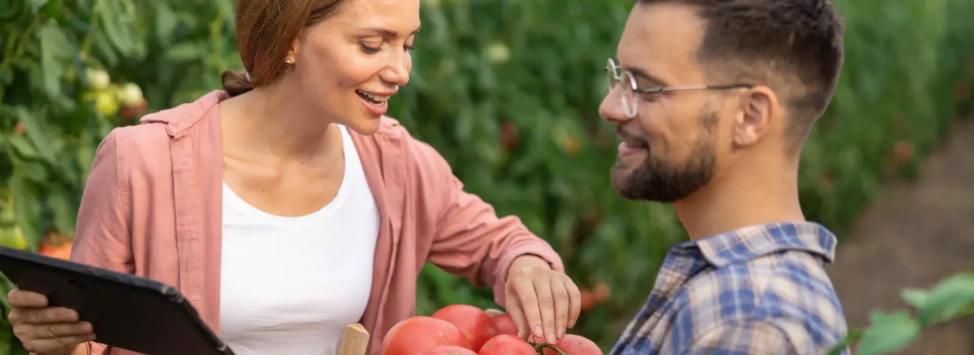 Diplomado en Comercialización y Cadenas de Valor Agropecuarias