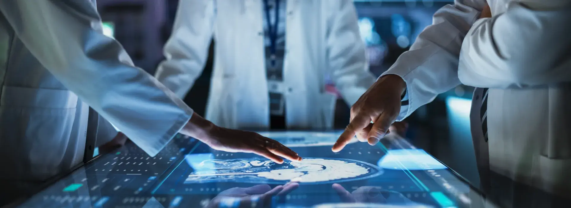 Diplomado en Neurociencia estructural y funcional