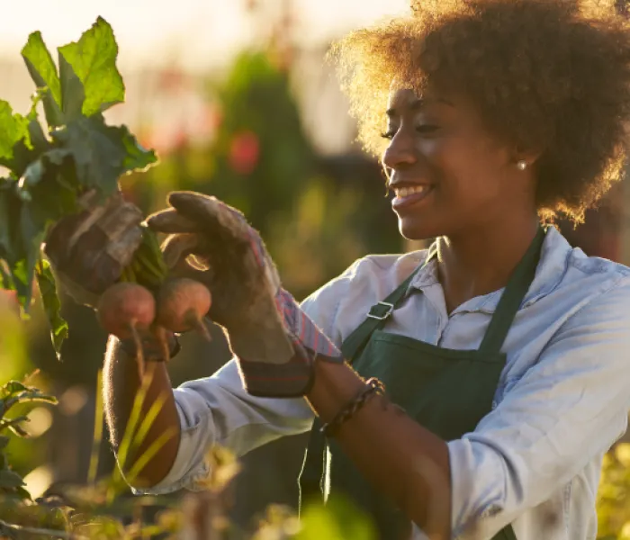 Diplomado en Manejo y Composición de Huertos y Jardines