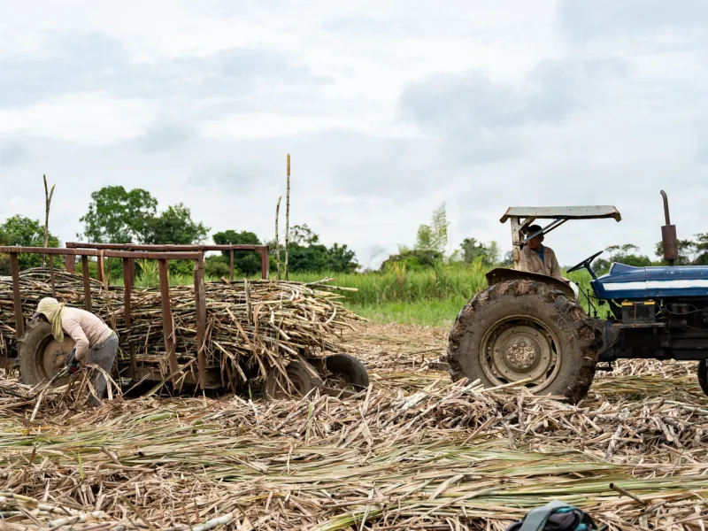 económica territorial