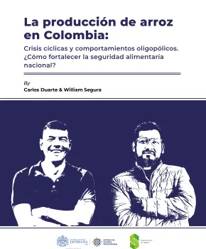 La producción de arroz en Colombia: